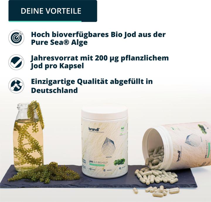 Produktbild Brandl Jod aus Bio Kelp Vegan (1 Stück, Kapseln, 210 g)