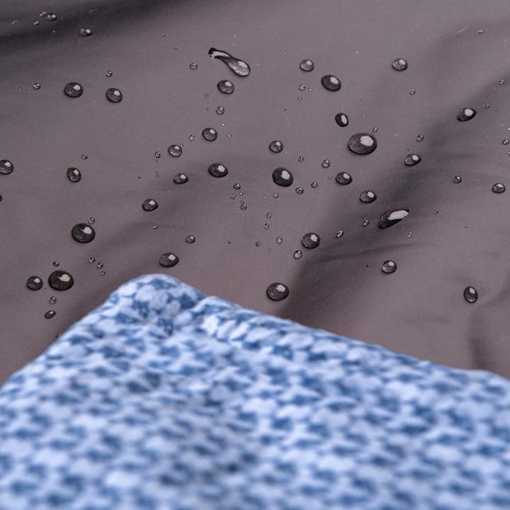 Actual product image Amazonas Molly