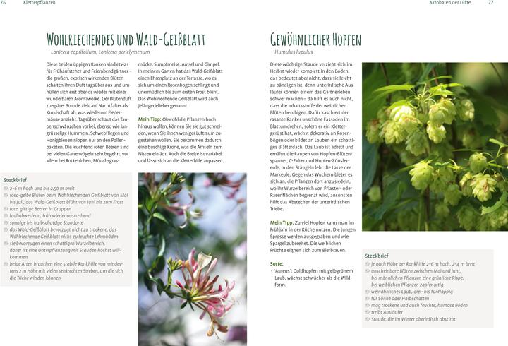 Actual product image Heimische Pflanzen für den Garten (German, Elke Schwarzer, 2022)