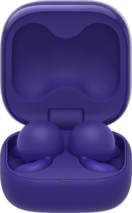 Viola