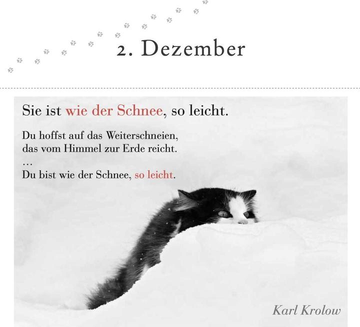 Produktbild Der literarische Katzen