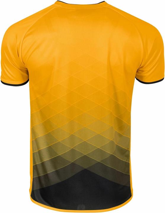 Actual product image Stanno Altius Jersey (S)