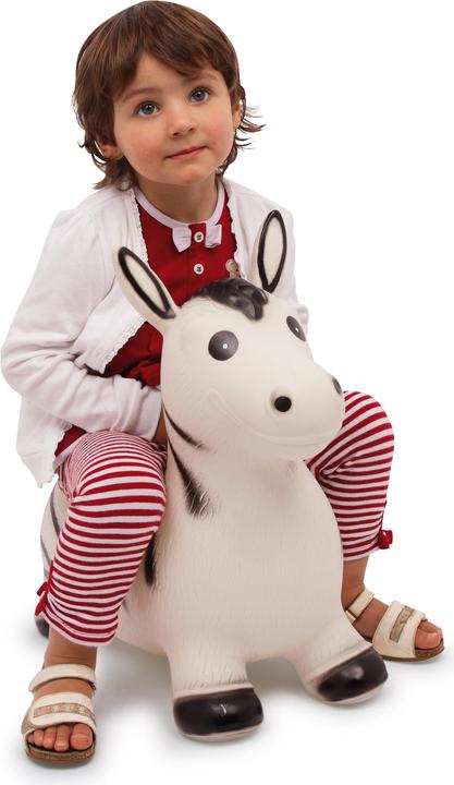 Actual product image small foot Jumping zebra
