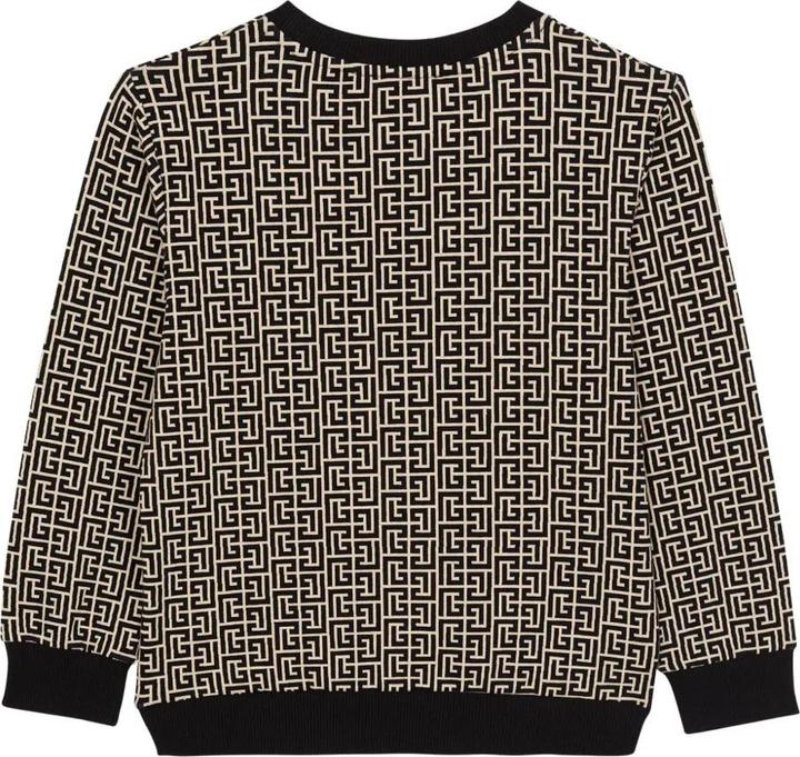 Actual product image Balmain Sweatshirt (12)