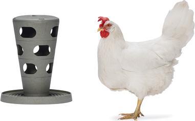 Image du produit Beeztees Mangeoire pour poules Tour d'alimentation, Gris