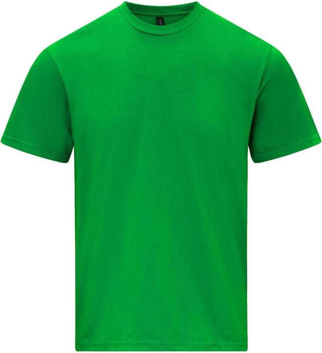 Actual product image Gildan Unisex Adult Softstyle Midweight T-Shirt (4XL)