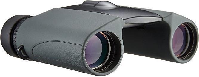 Immagine prodotto Nikon Stella dello sport EX (10 x, 25 mm)