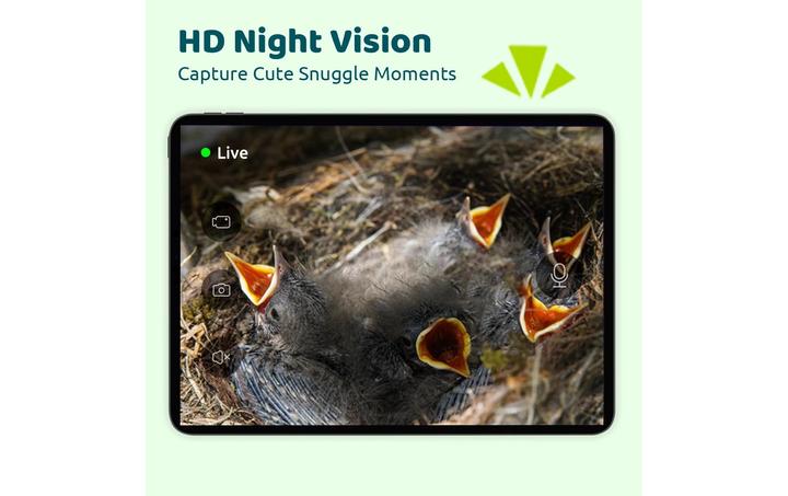 Actual product image Netvue Vogelhaus Nistkasten mit Kamera und Solar