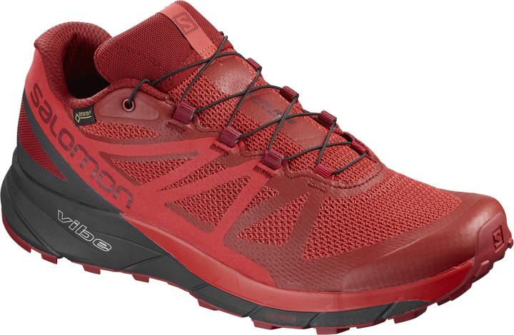 Actual product image Salomon Sense Ride GTX Invisible Fit Shoes (44)
