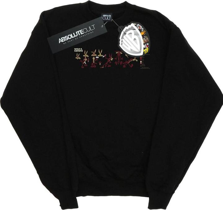 Actual product image Looney Tunes Mens Wile E Coyote Colour Code Sweatshirt (M)