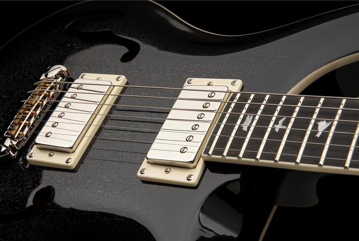 Actual product image PRS SE Hollowbody Standard | Dog Hair Smokeburst (Electric guitar, Mahogany, mahogany)
