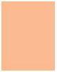 Image du produit Sisley Phyto-Teint Nude (1N Ivoire)