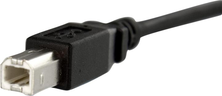 Produktbild StarTech 30 cm USB B auf B Kabel zur Slotbelch Montage – Buchse/Stecker (0.30 m, USB 2.0)