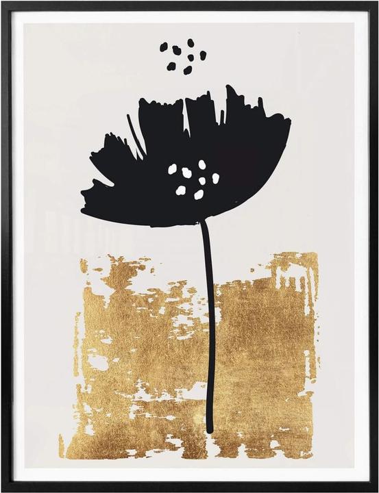 Image du produit Trenddeko Fleur noire (50 x 60 cm)