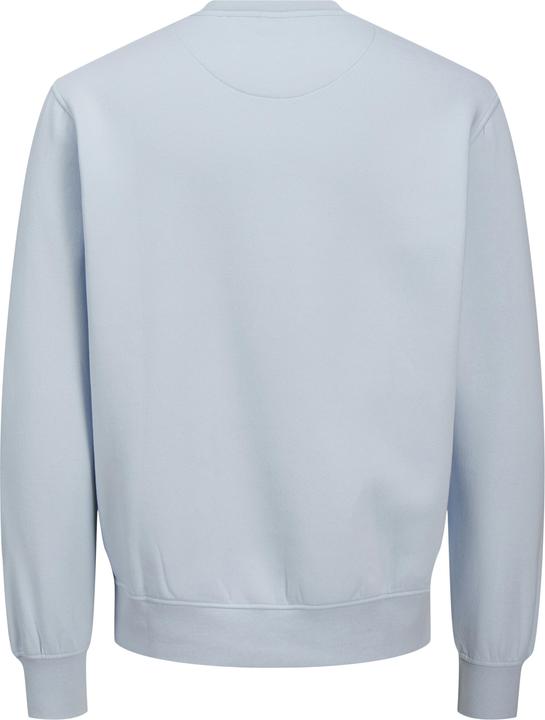 Actual product image Jack & Jones Jorvesterbro Sweat Crew Neck Noos (XS)