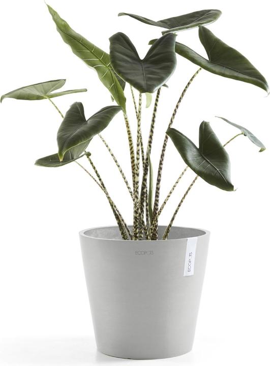 Actual product image Ecopots Amsterdam + Water reservoir (40 cm)