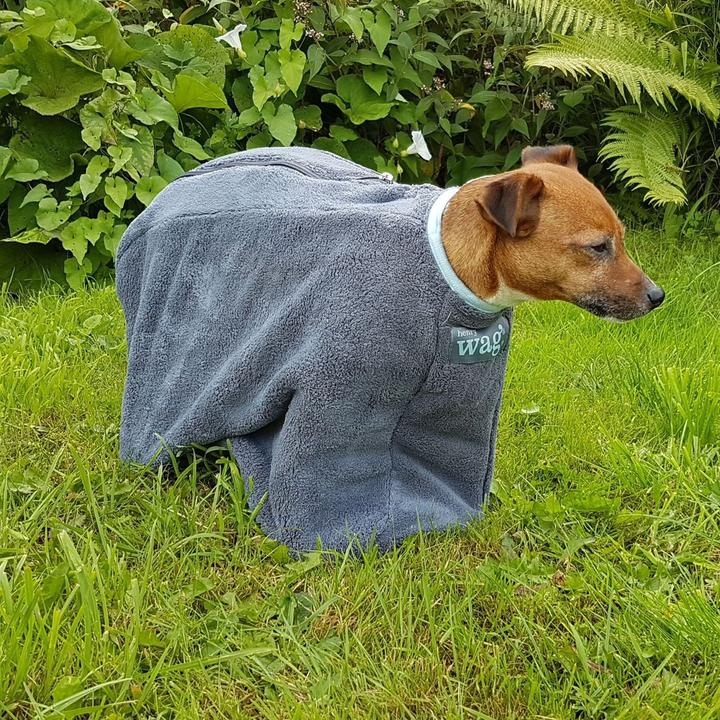Image du produit Henry Wag Serviette pour chien (Chien)