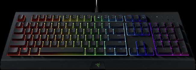 Actual product image Razer cynosa chroma (CH, Cable)