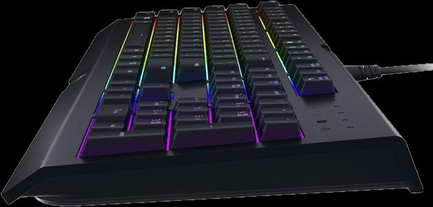 Actual product image Razer cynosa chroma (CH, Cable)