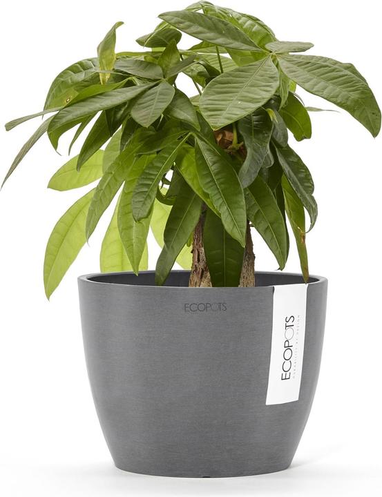 Produktbild Ecopots Stockholm (16 cm)