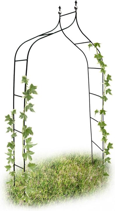 Produktbild Relaxdays Rankbogen (38 cm, 155 cm)