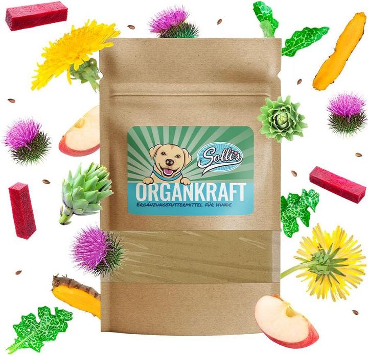 Immagine prodotto Sollis Alimento complementare Organkraft - Polvere per fegato e milza 100g (Senior, Adulto, Junior, 1 pz., 100 g)