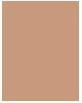 Produktbild Shiseido Synchro Skin Self-Refreshing (310 Silk)