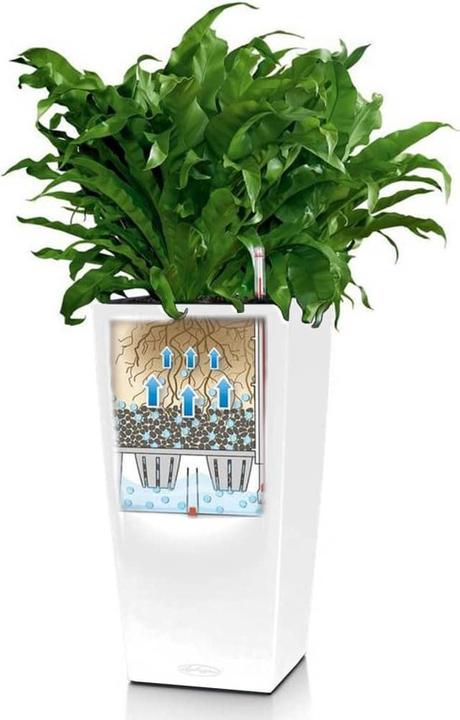 Immagine prodotto Lechuza Colore Cubico (22 cm)