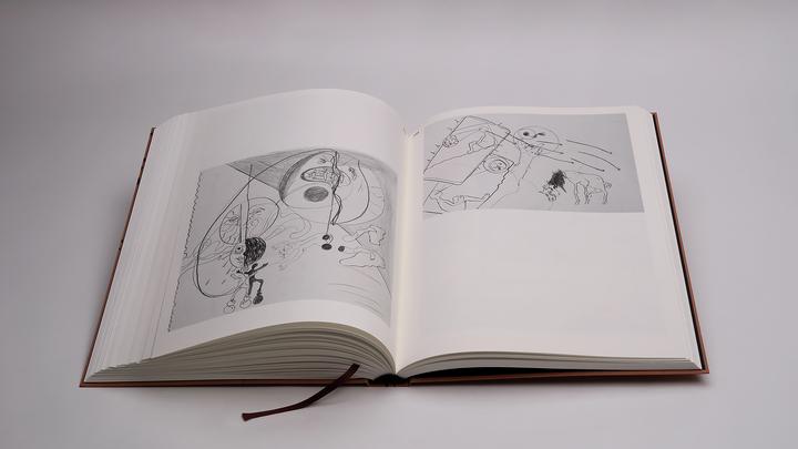 Image du produit Pils:Tobias Pils (Anglais, Willi Schmid, Galerie David Kordansky, Richard Shiff, Galerie Gisela Capitain, Galerie Eva Presenhuber, Tobias Pils, 2024)