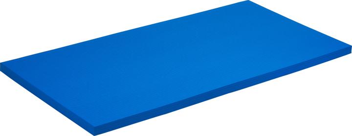 Actual product image Sport-Thieme Fall protection mat SL (8 cm)