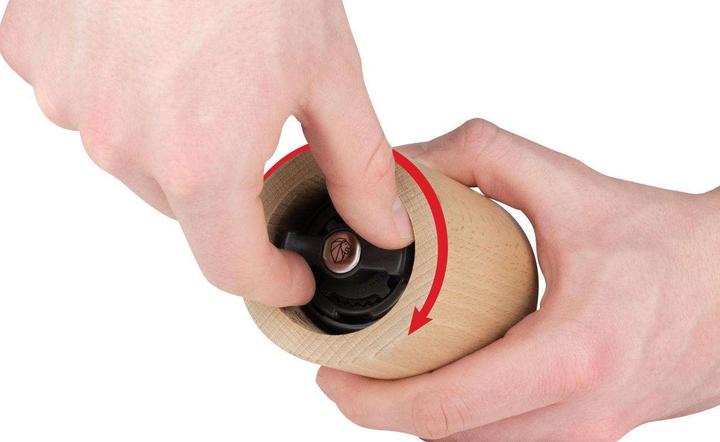 Actual product image Peugeot Isen (Various spices)
