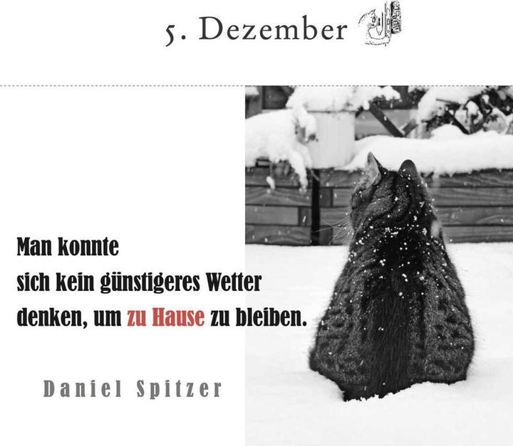 Produktbild Der literarische Katzen