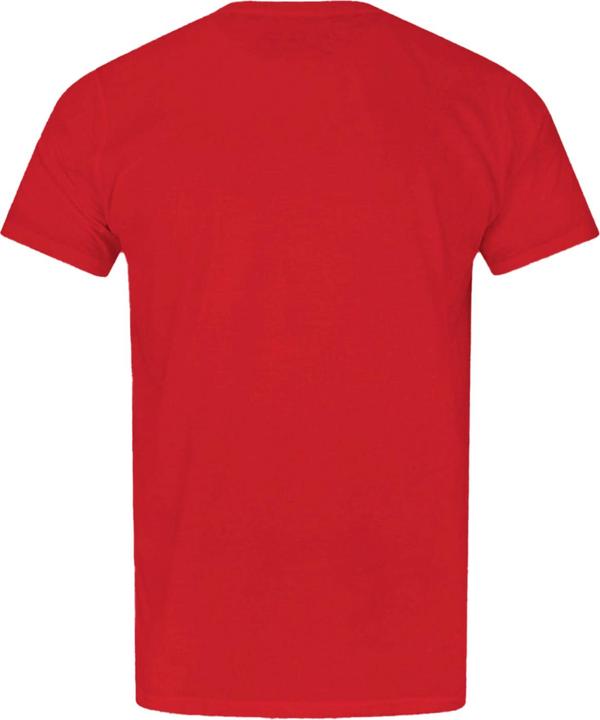Produktbild Flash offizielles Jungen Distress Logo TShirt (116)