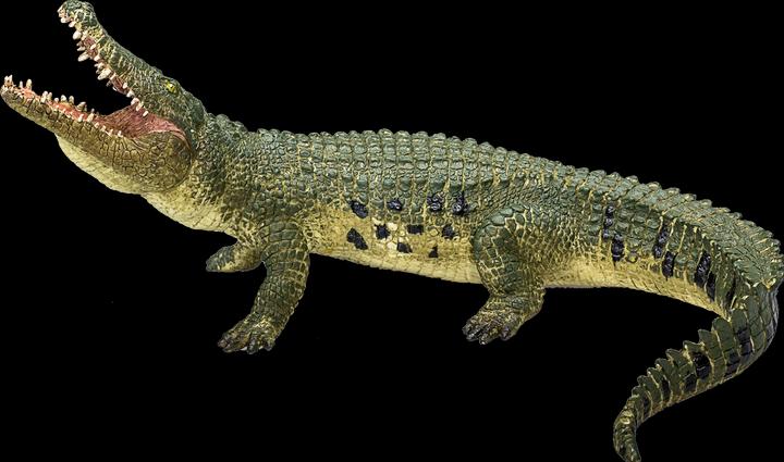 Actual product image Mojo Crocodile with bewgl. jaws