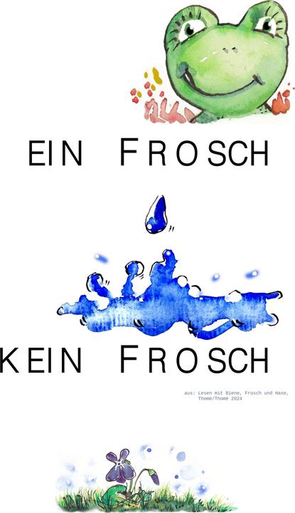 Actual product image Thomé:Lesen mit Biene, Frosch und Hase (German, Kurzi Shortriver, D. Orie, Prof Dr Günther Thomé, Dorothea Thomé, 2024)
