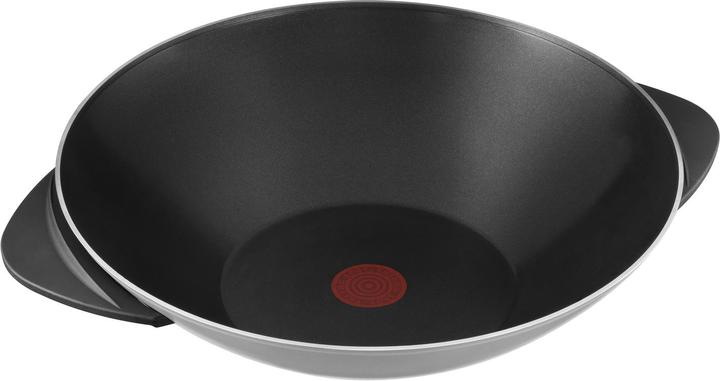 Image du produit Tefal Wo 3000.10