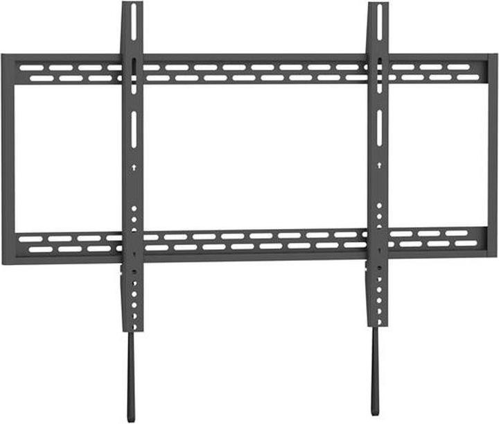 Actual product image Xantron Strongline-900 (Wall, 100", 100 kg)