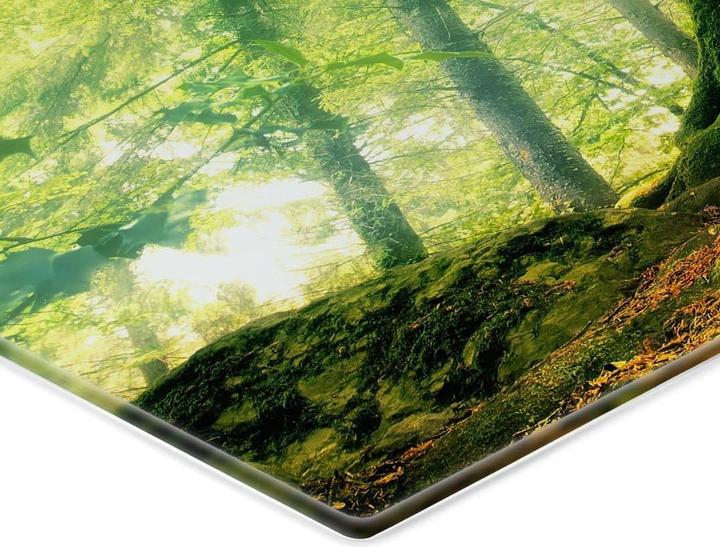 Actual product image Trenddeko Kiciak - Fairy tale forest (60 x 40 cm)