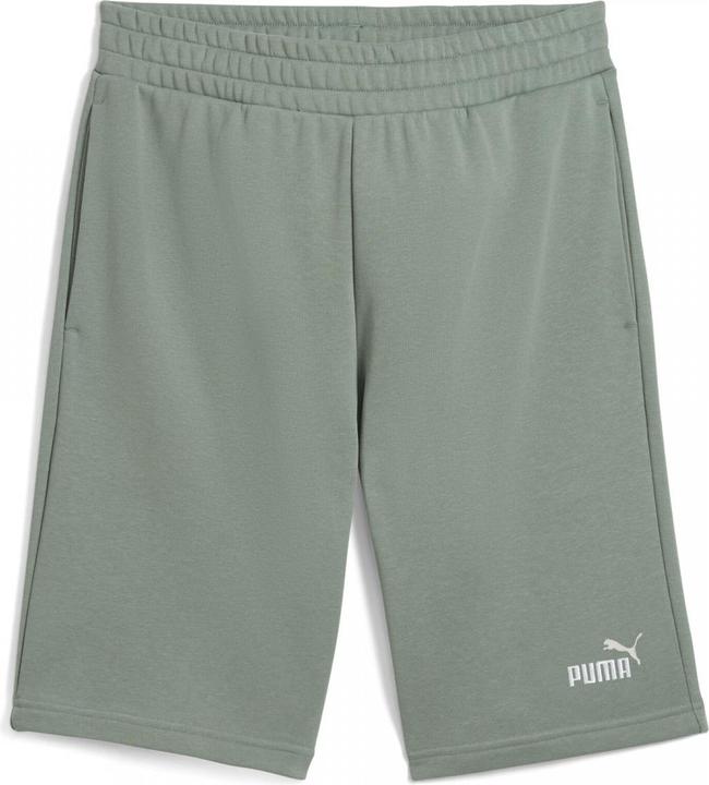 Image du produit Puma ESS 2 COLOR No. 1 Logo Shorts 10" TR (M)