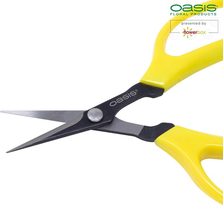 Produktbild Oasis Bonsai & Pinzierschere