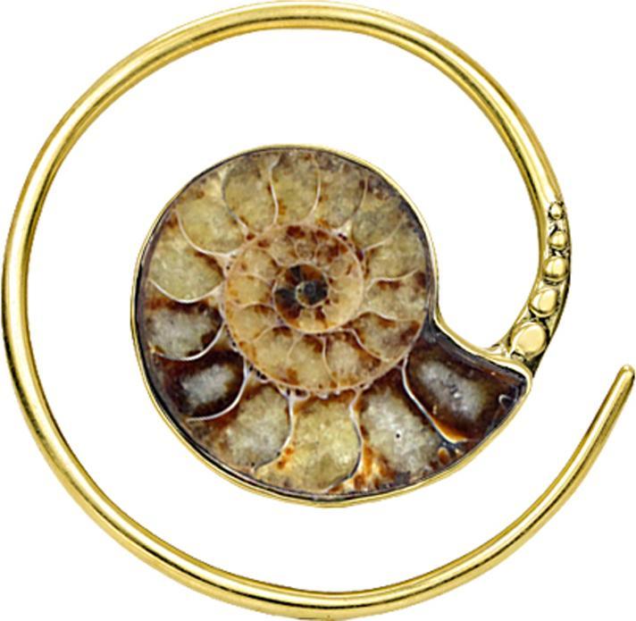 Produktbild Star Piercing Ring vergoldet Spirale (Chirurgenstahl 316L)