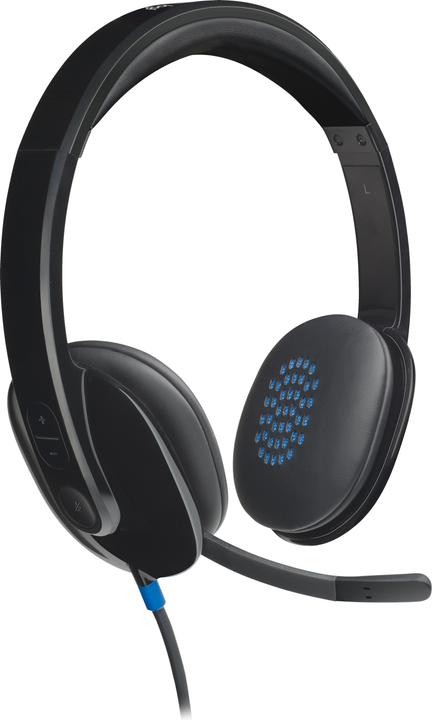 Logitech Cuffie USB per computer H540 (Cablato, USB-A)