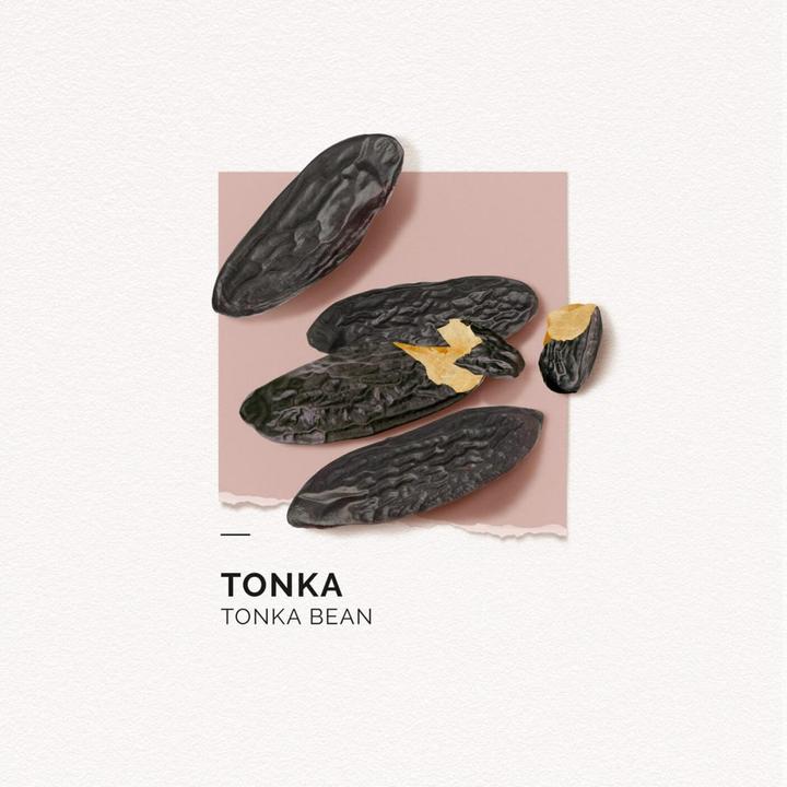 Image du produit Solinotes Tonka Mini Eau de Parfum (Eau de parfum, 15 ml)
