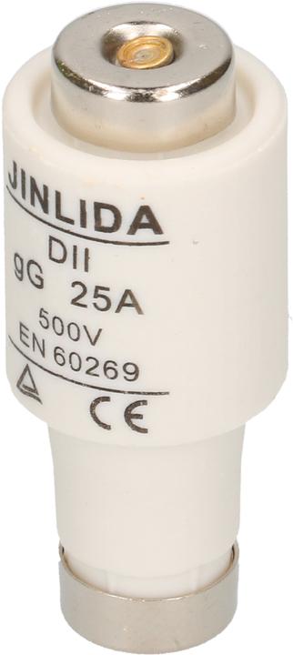 Image du produit Max Hauri Fusible (Fusible diazé, 25 A, Paresseux)