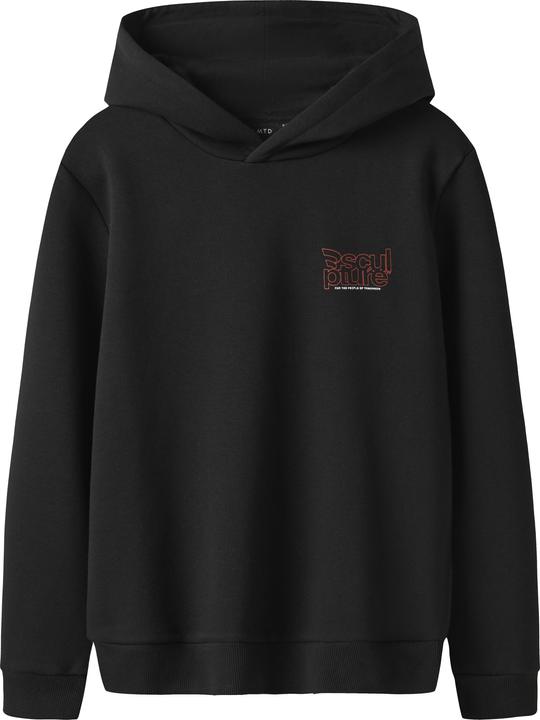 Lmtd Langarm Hoodie (146)