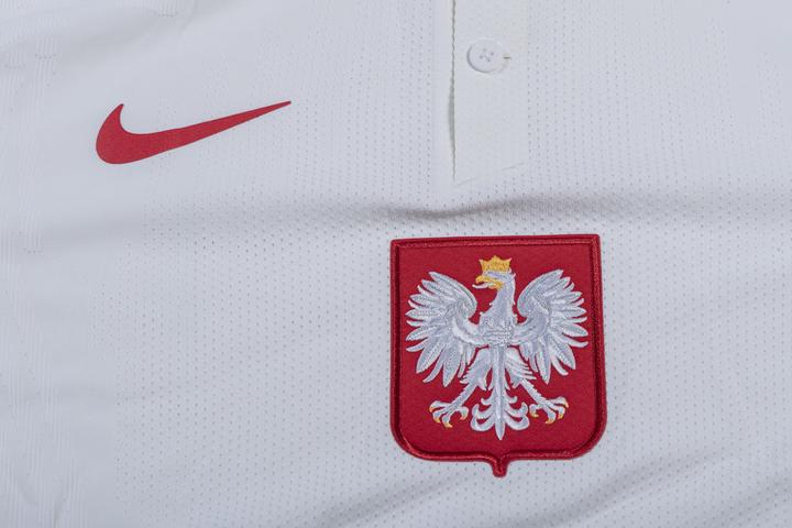 Immagine prodotto Nike Maglia Polonia Authentic EM (L)