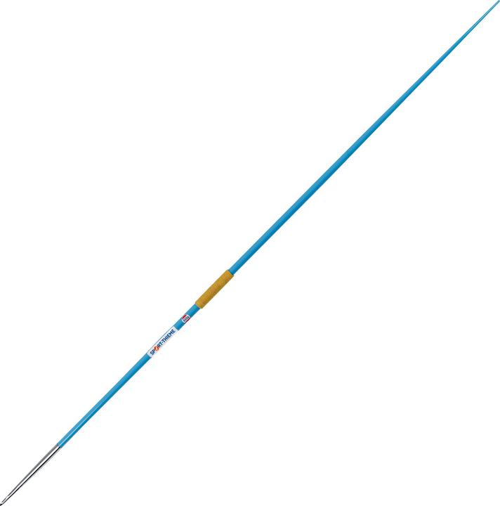 Sport-Thieme Trainings-Speer Supertraining (600 g)