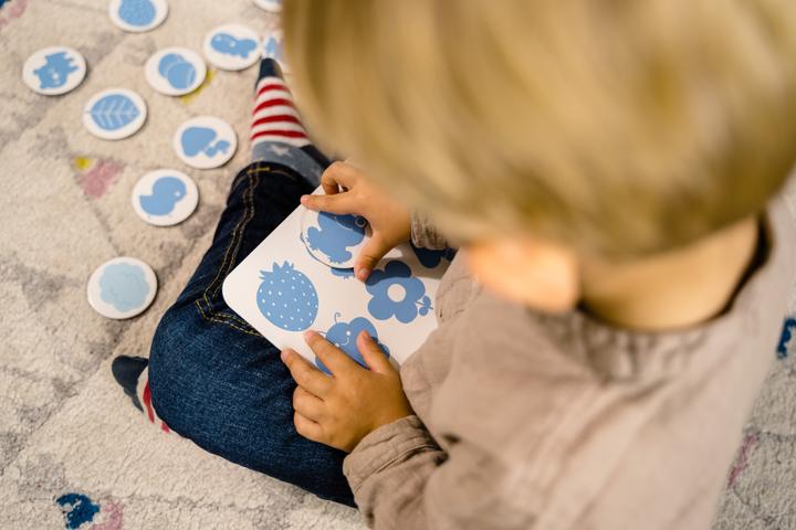 Actual product image Dujardin Small School Colours Shapes