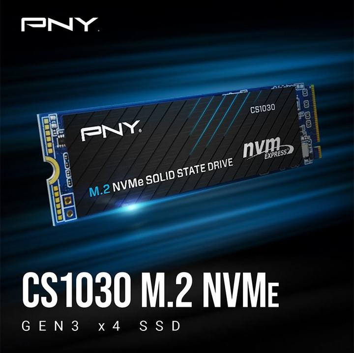 Image du produit PNY CS1030 (1000 Go, M.2 2280)
