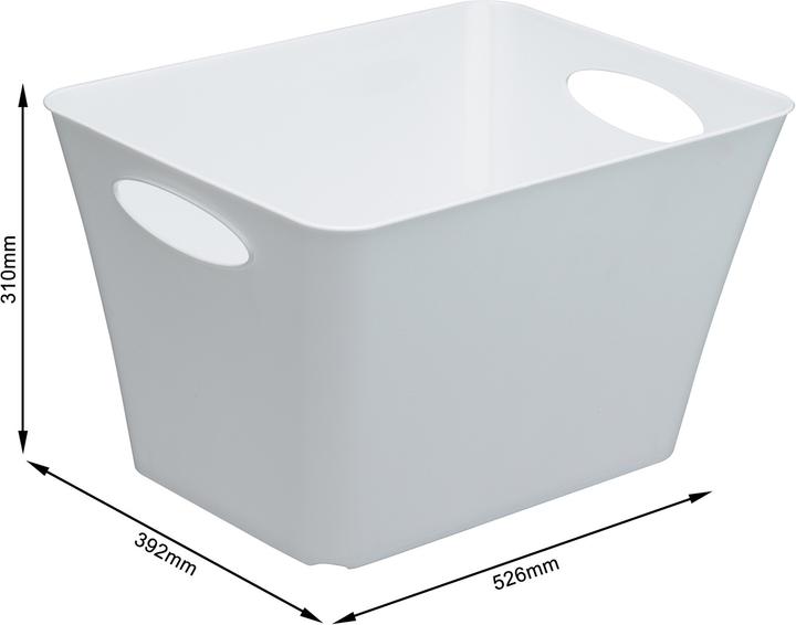 Actual product image Rotho Livingbox (39.5 x 31 x 52.5 cm, 44 l)